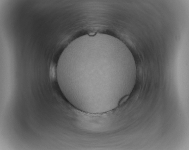 X0000111160042200907141411