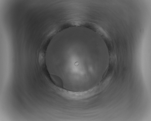 X0000111160043200907141411