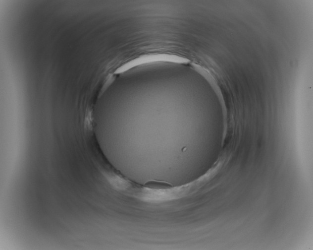 X0000111160045200907141411