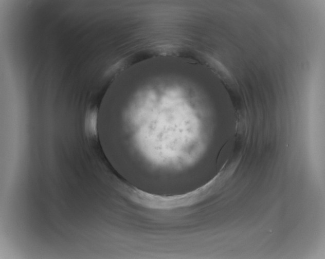 X0000111160047200907141410