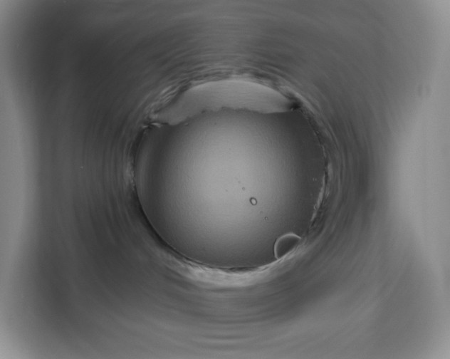 X0000111160048200907141410