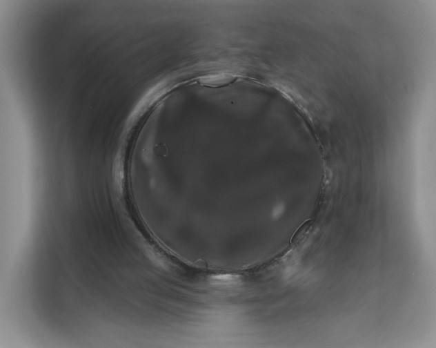 X0000111160053200907141410