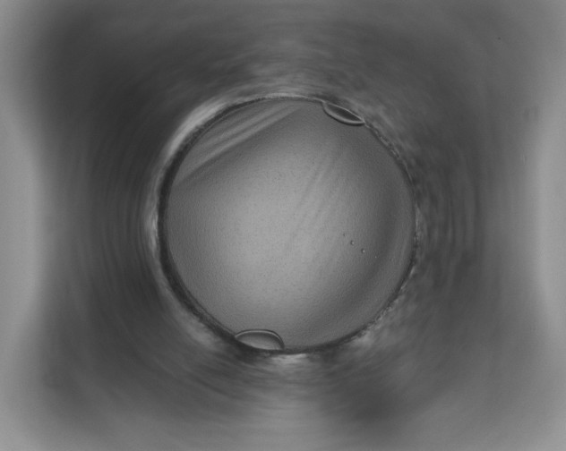 X0000111160054200907141410