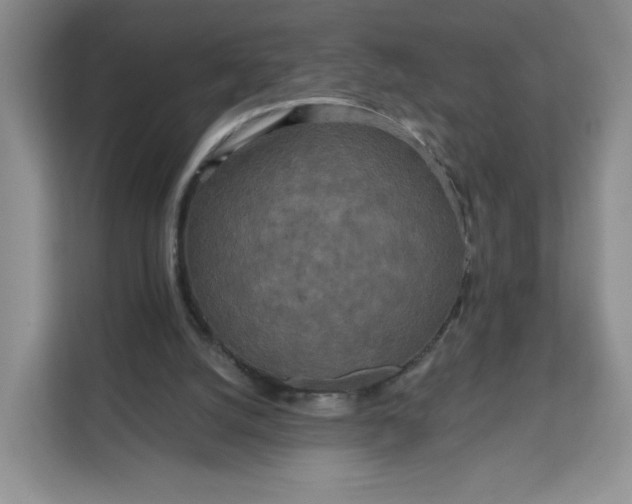 X0000111160056200907141410