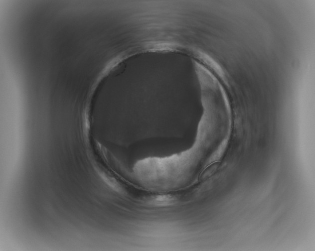 X0000111160059200907141410