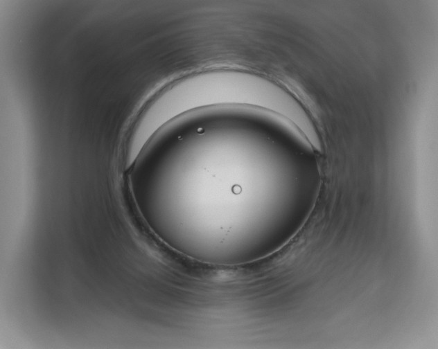 X0000111160060200907141410