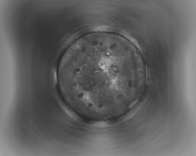 X0000111160061200907141410