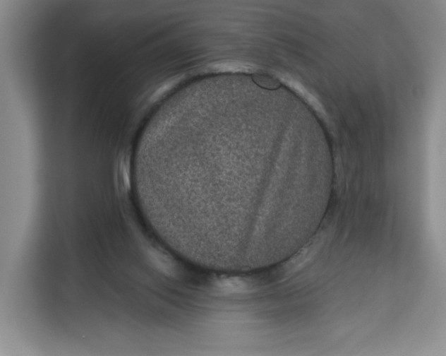 X0000111160062200907141410