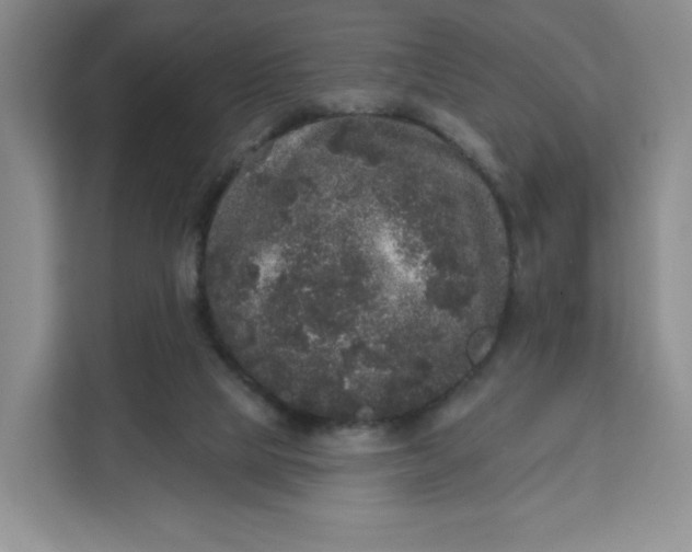 X0000111160065200907141410