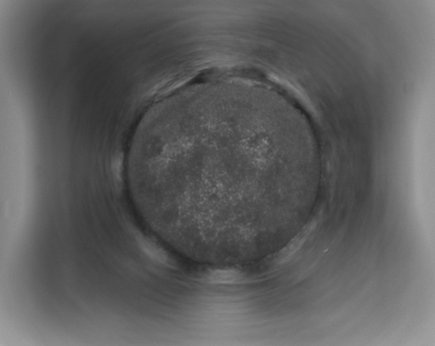 X0000111160066200907141410