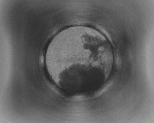 X0000111160067200907141410