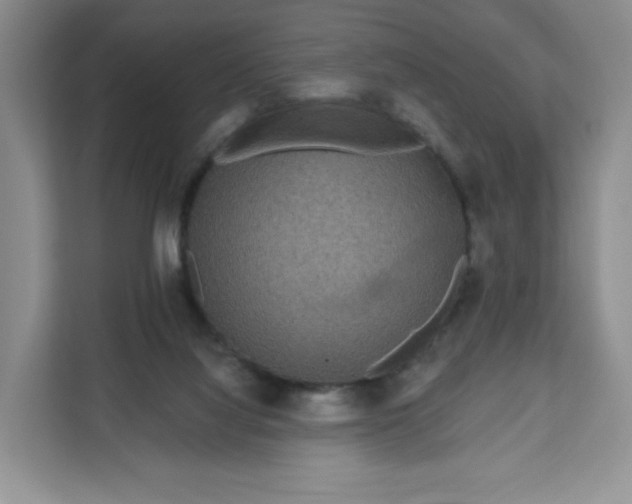 X0000111160068200907141410
