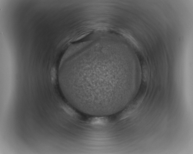 X0000111160077200907141410