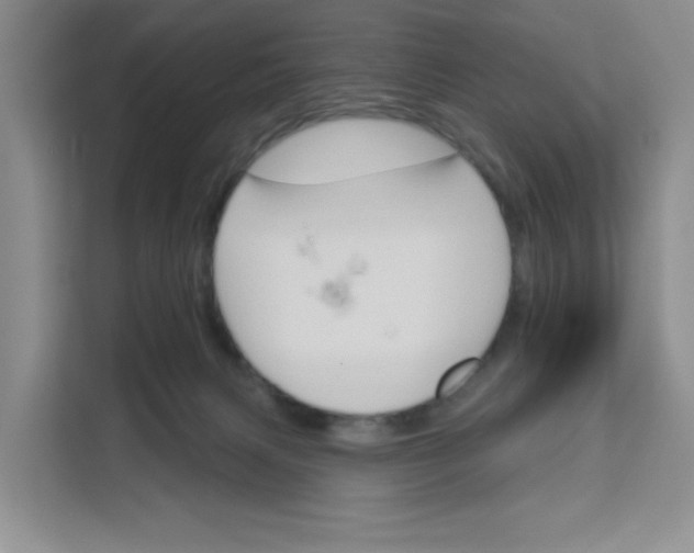 X0000111160079200907141410