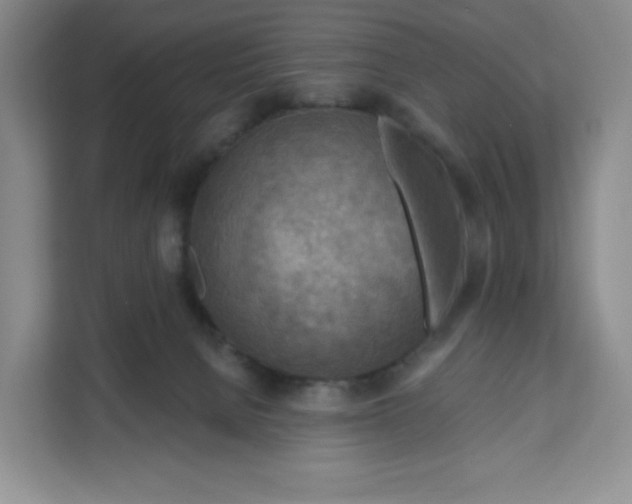 X0000111160080200907141410