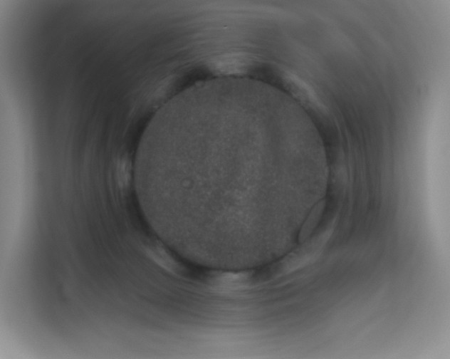 X0000111160081200907141410