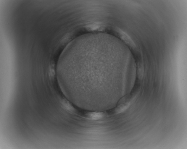 X0000111160085200907141410