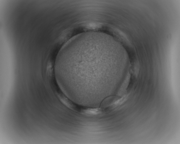 X0000111160086200907141410