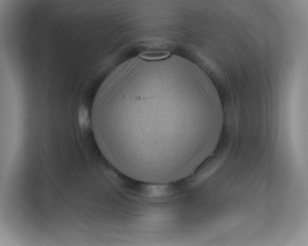 X0000111160089200907141410