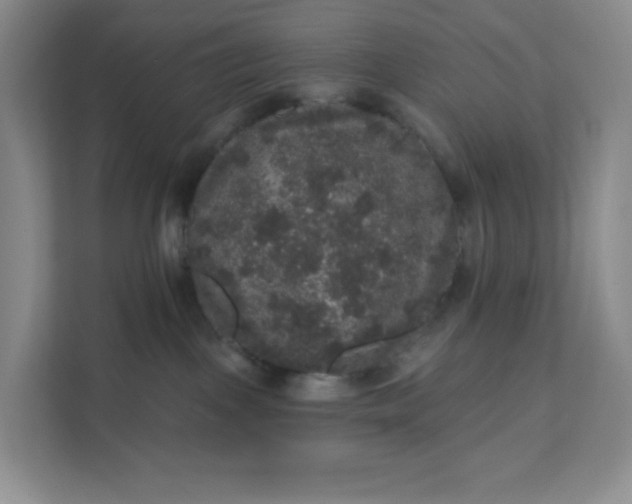 X0000111160093200907141410