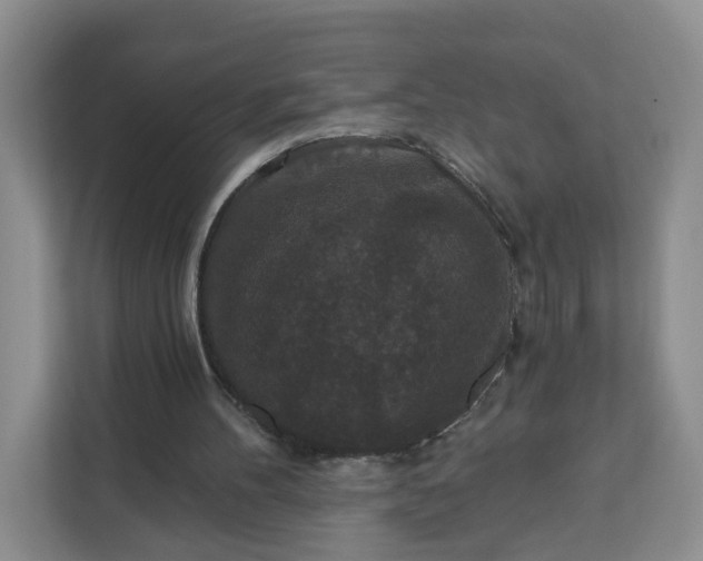 X0000111160100200907141410