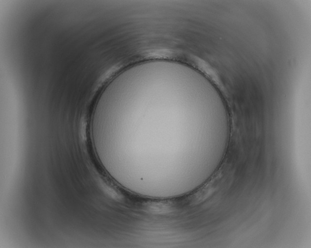 X0000111160106200907141410