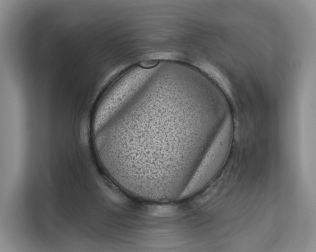 X0000111160107200907141410