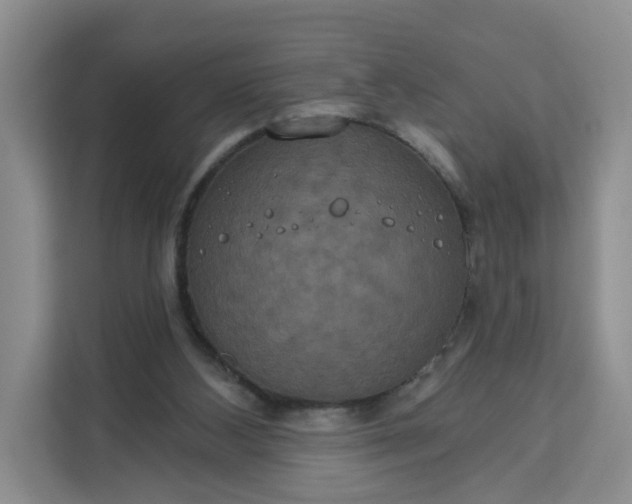 X0000111160108200907141410