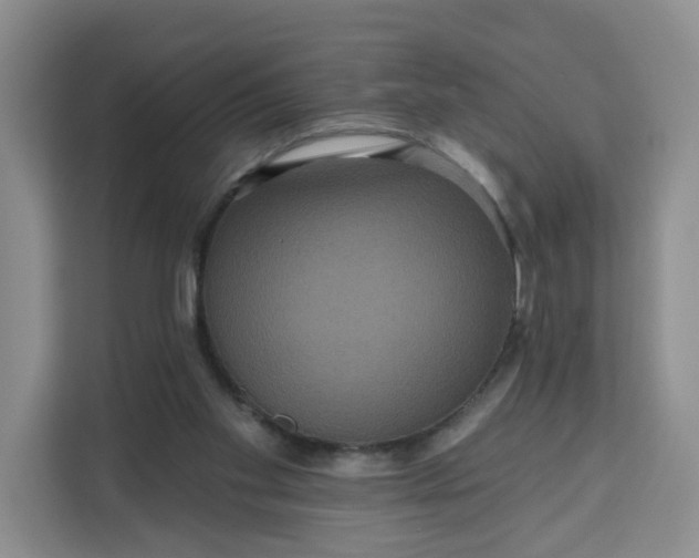 X0000111160109200907141410