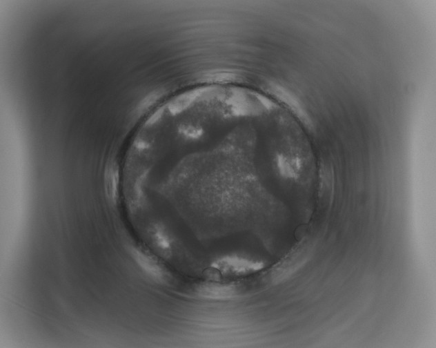 X0000111160110200907141410