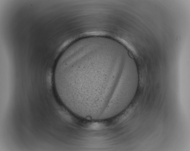X0000111160111200907141410