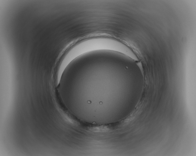 X0000111160112200907141410