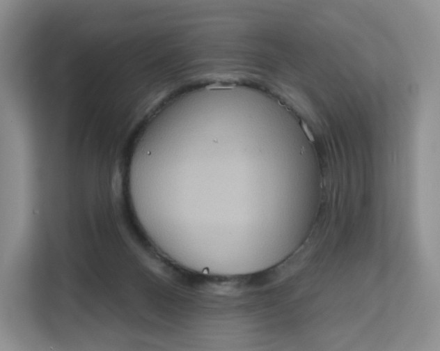 X0000111160120200907141410