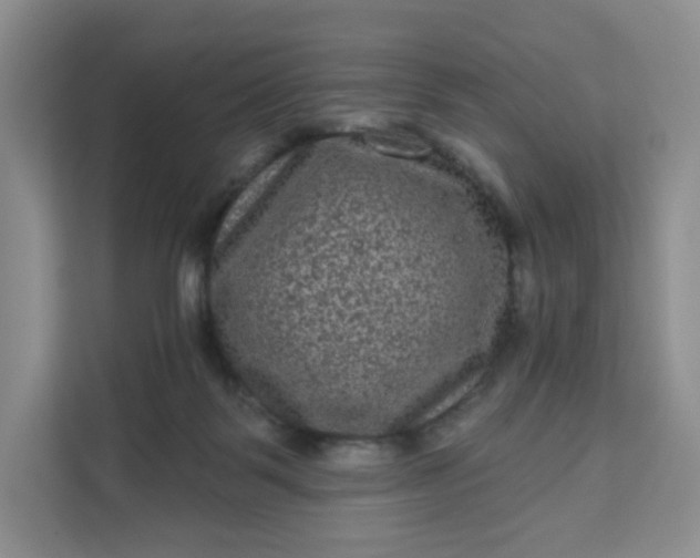 X0000111160123200907141410