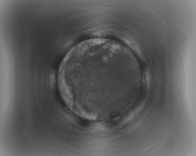 X0000111160127200907141409