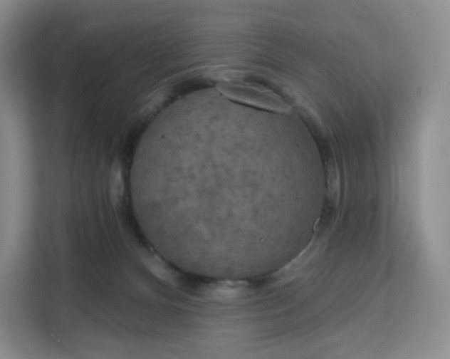 X0000111160128200907141409