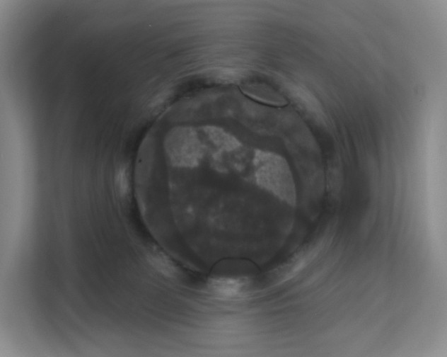 X0000111160131200907141409