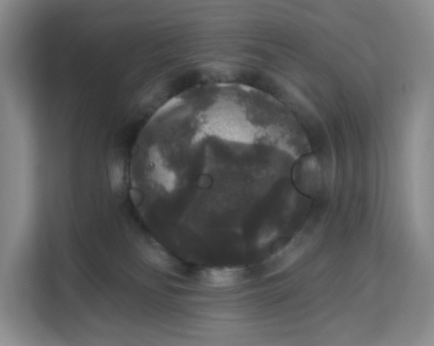 X0000111160134200907141409