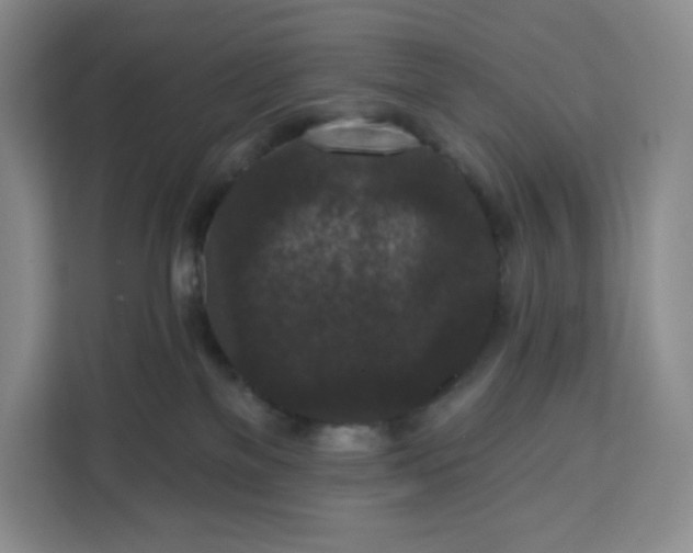 X0000111160137200907141409