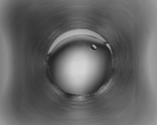 X0000111160140200907141409