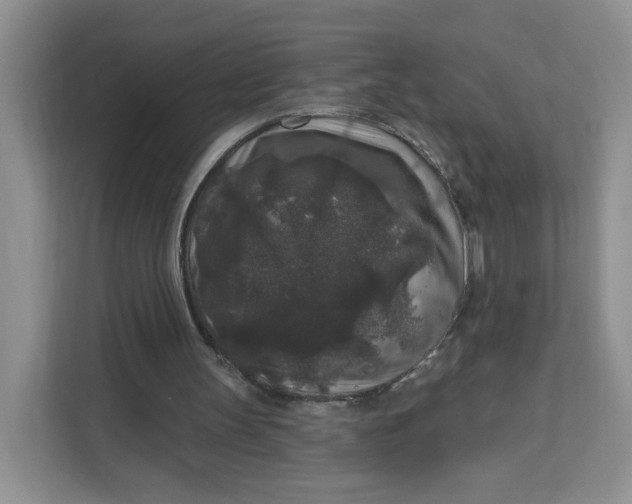 X0000111160147200907141408