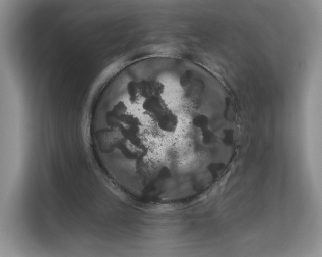 X0000111160149200907141408