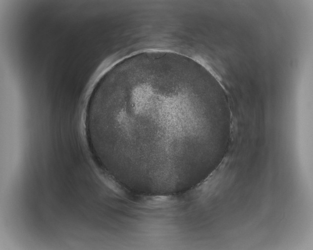 X0000111160151200907141409