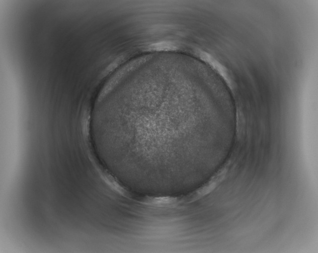 X0000111160153200907141409