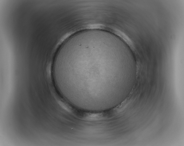 X0000111160155200907141409