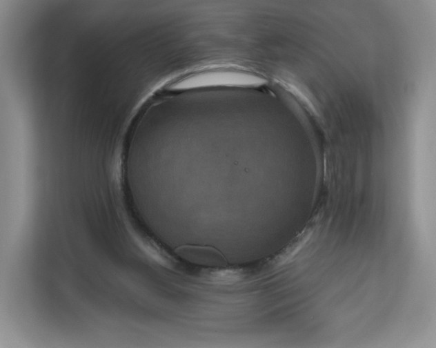 X0000111160156200907141409