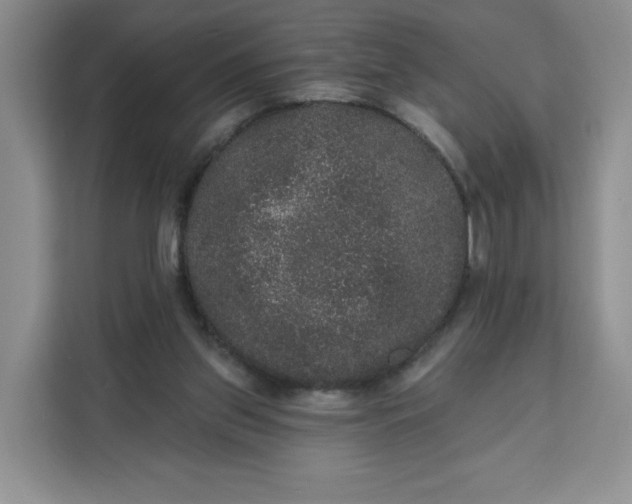 X0000111160157200907141409