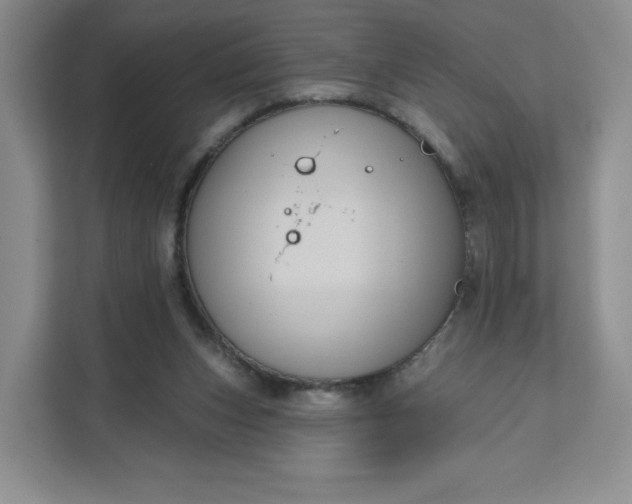 X0000111160159200907141409