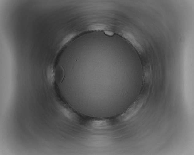 X0000111160160200907141409