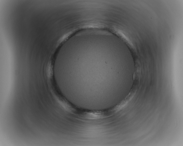 X0000111160164200907141409